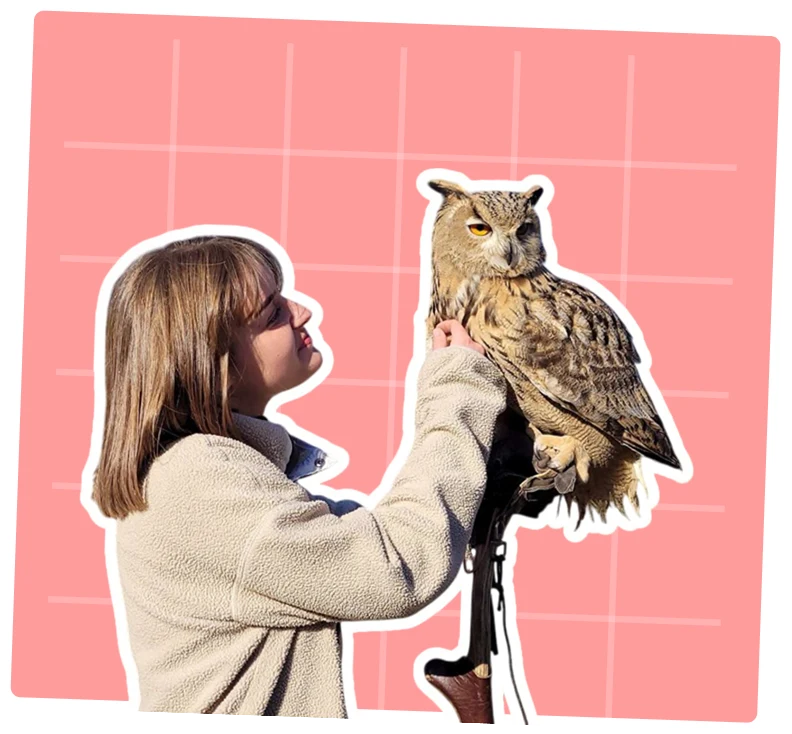 communication animale