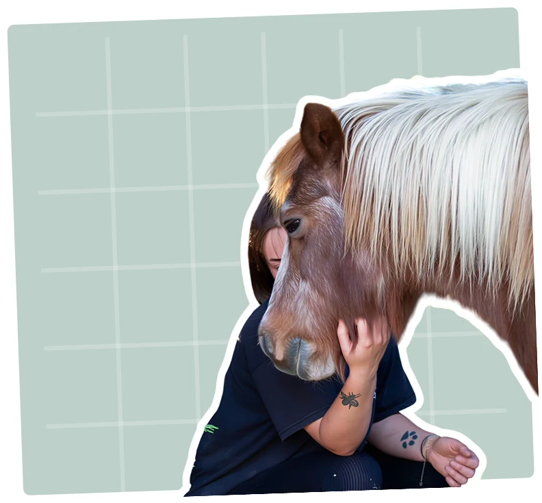 soins énergétiques